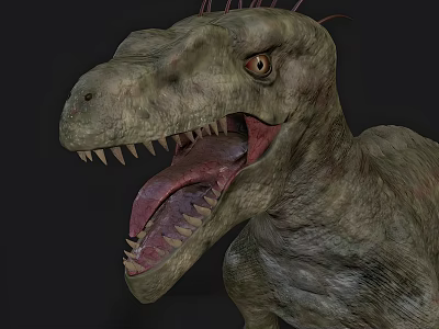 Dinosaur Raptor 3d model