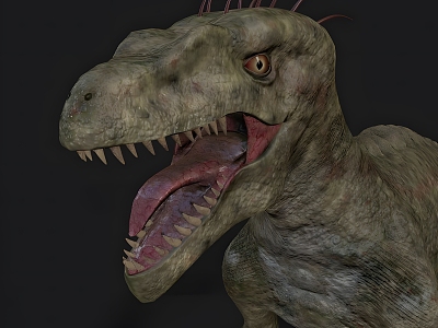 Dinosaur Raptor model