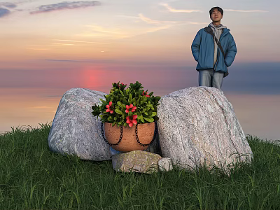 Vibrant Red Flowers and Green Plants in Clay Pot Between Rocks on Grassy Sunset Background 3d model
