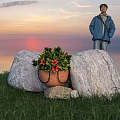 Vibrant Red Flowers and Green Plants in Clay Pot Between Rocks on Grassy Sunset Background