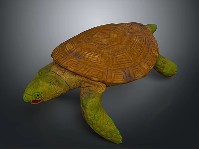 Brown Shell Turtle With Geometric Patterns Green Head And Limbs On Gray Background 3d model