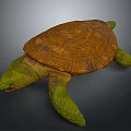 Brown Shell Turtle With Geometric Patterns Green Head And Limbs On Gray Background