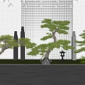 Ornamental Pine Trees In Modern Garden With Grid Wall Stone Decorations And Lawn