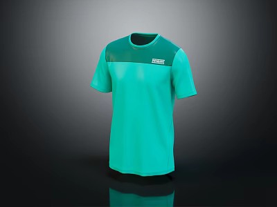 Green Short Sleeve T-Shirt With Casual Design And Comfortable Fabric For Daily Wear 3d model