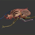 Striped Flying Beetle Showcasing Detailed Exoskeleton Texture Antennae And Legs On Dark Background