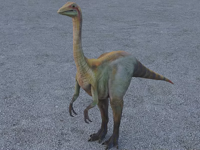 Prehistoric Reptile Dinosaur With Long Neck Standing On Gravel Ground 3d model