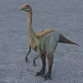 Prehistoric Reptile Dinosaur With Long Neck Standing On Gravel Ground