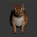 3D Striped Chipmunk Character With Red Eyes For Game Movie Roles