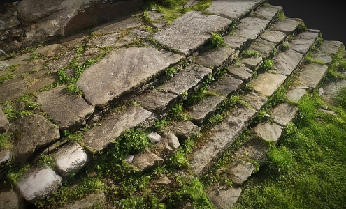 Step stone scanning step ladder moss green slate mountain road 3d model