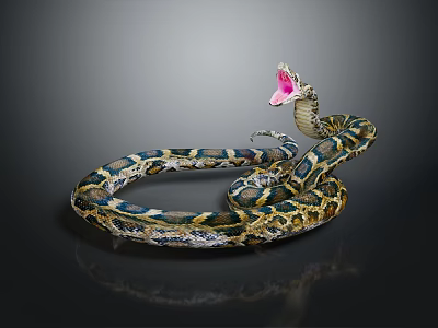Striking Colored Reptile Snake Coiled With Open Mouth And Patterned Skin 3d model