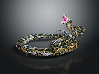 Modern snake python reptile cold-blooded animal 3d model