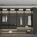 Modern Dark Wardrobe With Open Shelves Hanging Rods And Built in Lighting
