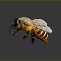 3D Rendered Colorful Winged Bee With Yellow Black Stripes And Detailed Body