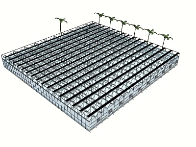 Modern Glass Greenhouse With Metal Frame And Palm Trees Inside 3d model