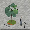 Large Fan shaped Leaves Tree on Circular Green Grass and Gray Tiles with Human Figure