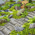 Natural Garden Landscape With Stone Path Mossy Rocks Green Plants And Wooden Pavilion