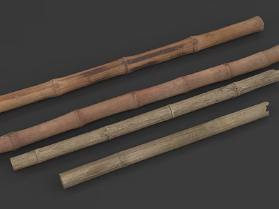 Group of Natural Bamboo Sticks with Various Colors and Different Lengths 3d model