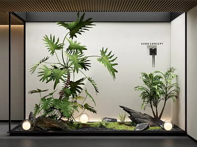 Indoor Landscape Design Featuring Green Plants Large Leaves Rocks Small Lights And White Wall 3d model