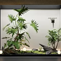 Indoor Landscape Design Featuring Green Plants Large Leaves Rocks Small Lights And White Wall
