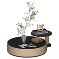 Coffee table combination 3d model
