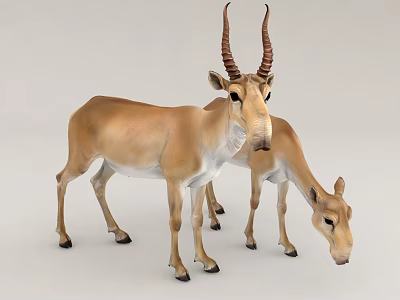 3D Model Of Antelopes With Curved Horns 3d model