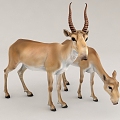 sheep tibetan antelope protection animal wildlife zoo 3d model