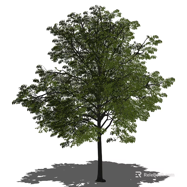 Tall Arbor With Lush Green Leaves Strong Trunk And Natural Canopy 3d model 