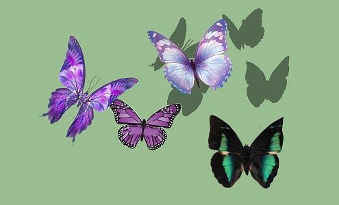 Butterfly 3d model