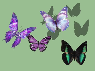 Butterfly 3d model