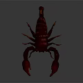 Red Scorpion With Curved Tail Sharp Claws And Shiny Body On Dark Background