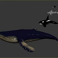 Large Blue Whale Swimming With Dolphins And Shark In Natural Ocean Habitat