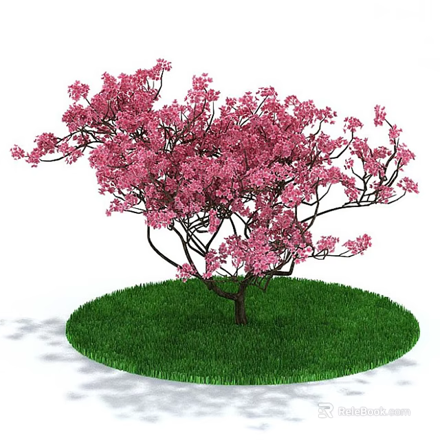 Pink Flowering Shrub with Spreading Branches on Green Circular Grass Patch Against White Background 3d model 