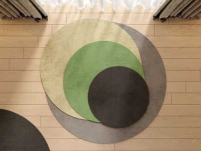 Modern Round Carpet 3d model