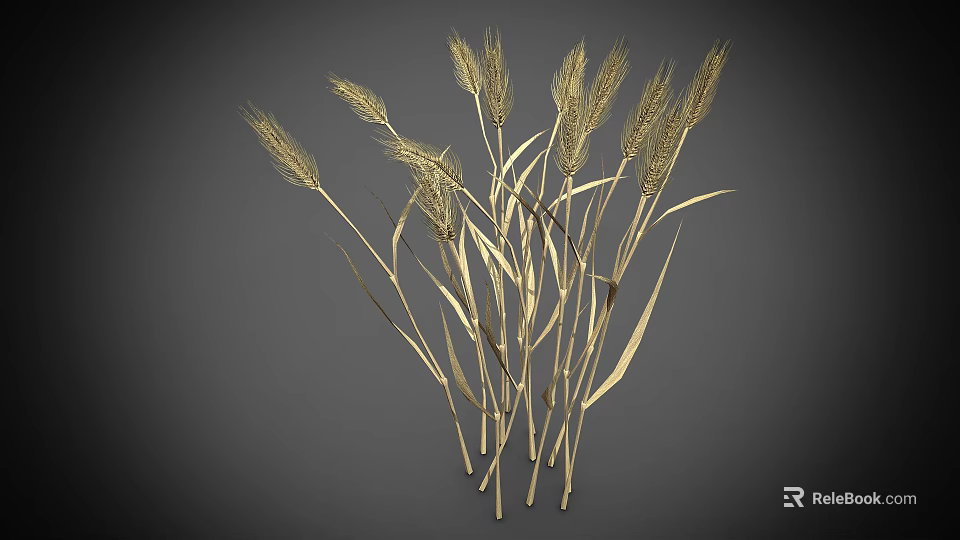 Golden Wheat Stalks With Bunch Of Long Ears And Slender Stems On Gray Background 3d model 
