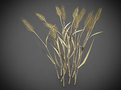 Golden Wheat Stalks With Bunch Of Long Ears And Slender Stems On Gray Background 3d model