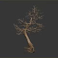 Natural Wood Tree Sculpture With Intricate Branches And Stone Base Design