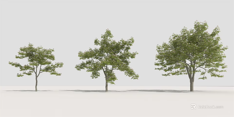 Lush Green Arbor Trees With Natural Canopy And Soft Shadows 3d model