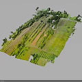 Rural Agricultural Field With Lush Green Crops And Farmhouse Structure