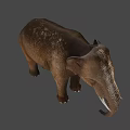 Realistic Brown Elephant With Ivory Tusks And Detailed Textured Skin
