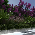 Municipal Road with Purple Flowers Green Ferns and Lush Landscaping Features