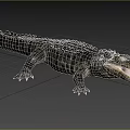 Large Aquatic Crocodile With Open Mouth And Scaly Skin In Natural Wetland Habitat