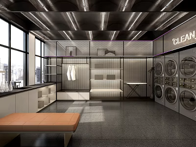Modern Laundry Interior With Washing Machines Hanging Clothes Bench Large Windows And Clean Sign 3d model