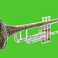 Brass Musical Instrument Trumpet on Green Background for Art and Craft Supplies