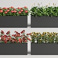 Modern flower box plant flower box outdoor mobile flower box flower bed flower bowl rose flower 3d model