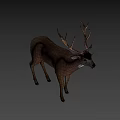 Realistic Brown Deer With Large Antlers Standing In Natural Pose