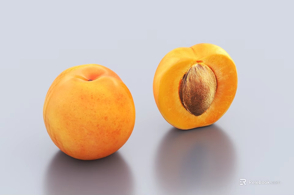 Fresh Ripe Apricot Fruit Whole and Halved with Seed on Gray Surface 3d model 
