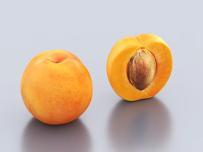 Fresh Ripe Apricot Fruit Whole and Halved with Seed on Gray Surface 3d model