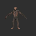Highly Detailed 3D Chimpanzee Model In Natural Standing Pose With Lifelike Features