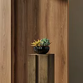 Elegant Succulent Plants In White Pot On Wooden Stand With Wooden Background