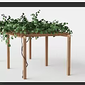 Wooden Pergola Structure With Green Vines Climbing Overhead For Outdoor Garden